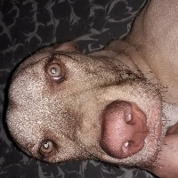 Jenny paola Naranjo patiño