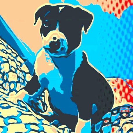 Edicion y creación de piezas gráficas para todo tipo de fiestas y trabajos para colegio y universidad 