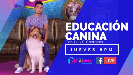 Curso Adiestramiento y educación canina para perros